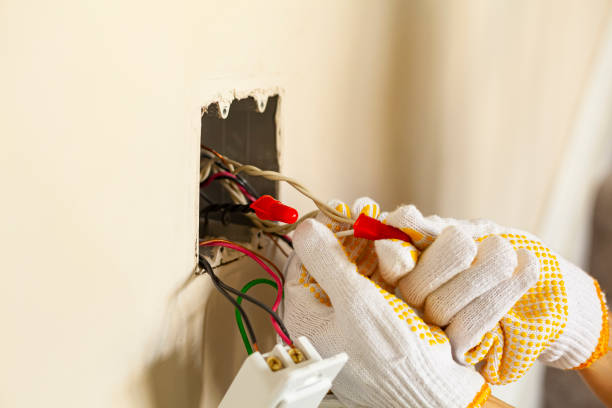 Best Electrical Panel Upgrades  in Chapin, SC